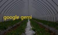 google gemini app